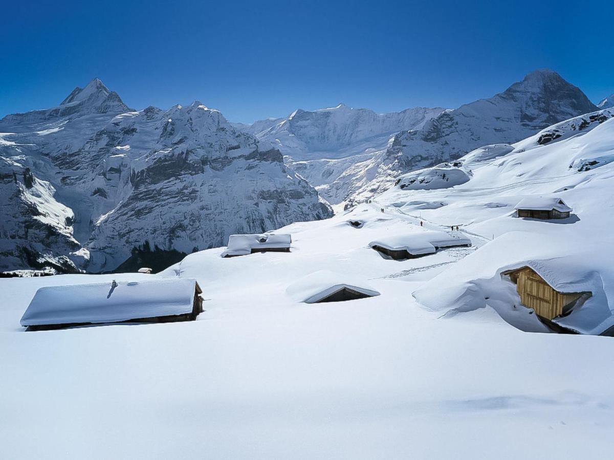 Apartment Chalet Spassvogel By Interhome Grindelwald Exterior photo